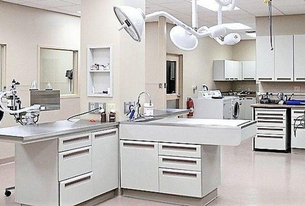 vet clinic operating room